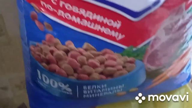 Зимнее утро на даче.Декабрьский мороз 🎅 смотреть онлайн