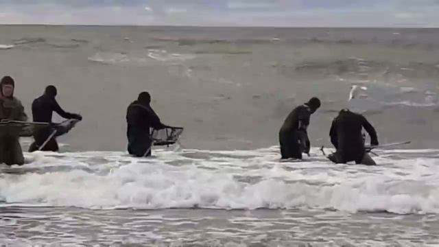 Ловля янтаря Калининград смотреть онлайн