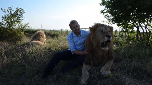 Сафари в Крыму смотреть онлайн