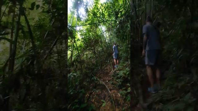 Мото экскурсии по острову Пхукет. смотреть онлайн