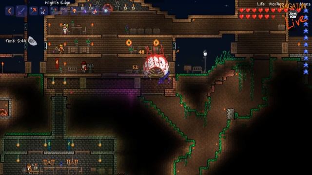 Сомелье Гагатун - Terraria 1.1 Update ОХОТА НА СТЕНУ СМЕРТИ смотреть онлайн