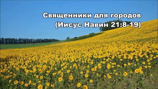 Тихое время с Живой Жизнью: Иисус Навин 21:8–26 (22082016) смотреть онлайн