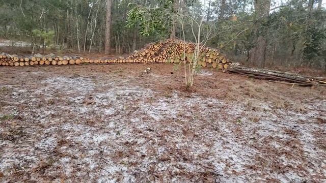 СКОЛЬКО стоит перевозка ДОМА на свой УЧАСТОК смотреть онлайн