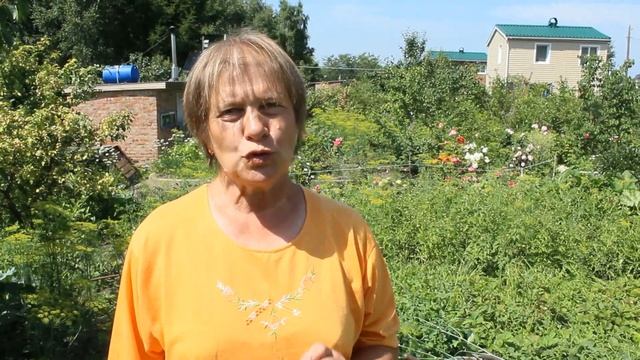Голубика 11 07 2020г смотреть онлайн