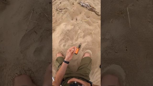 ? Found Gold of Europe while walking on the beach! смотреть онлайн