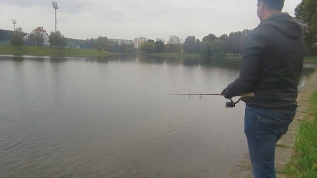 Обзор спиннинга SHIMANO BX 240 смотреть онлайн