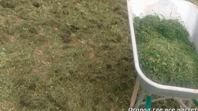 Как оживить запущенный участок.mp4 смотреть онлайн