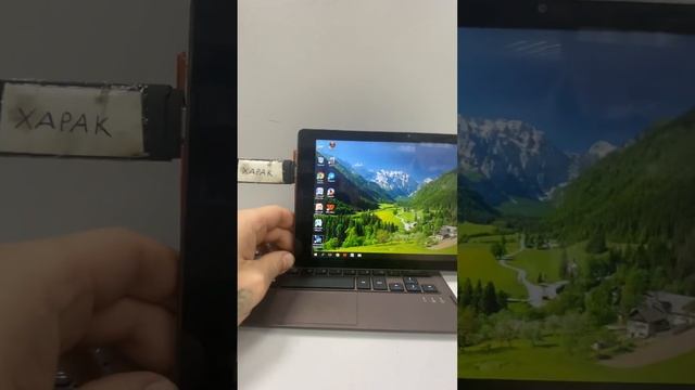 17 ноября 2022 г. смотреть онлайн