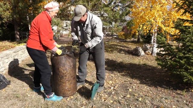 Грабли веерные. Пластиковые или металлические? смотреть онлайн