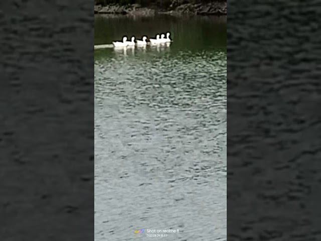 23 августа 2022 г. смотреть онлайн