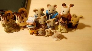 Моя  коллекция Sylvanian Families
