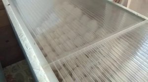 Совместная инкубация гусиного и индоутиного яйца! Таблица инкубации!