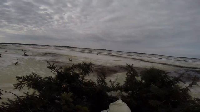 Охота на гусей. Goose hunting. на Буране по воде. смотреть онлайн