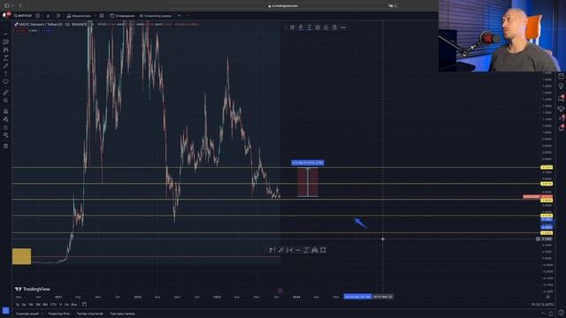 ОБЗОР АЛЬТКОИНОВ: ADA, BSW, MATIC, ICP, RAY ? ЦЕЛИ И ПЕРСПЕКТИВЫ смотреть онлайн