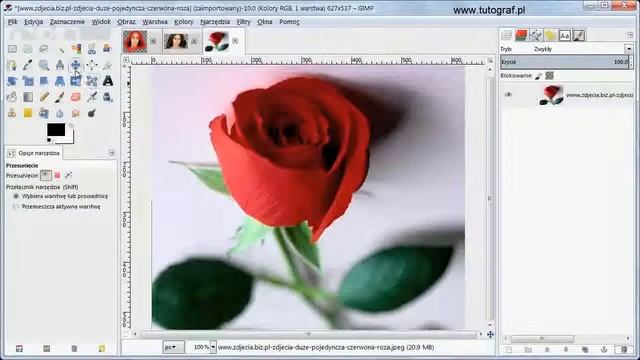 Gimp - Jak zrobić maskę dla dowolnego kształtu смотреть онлайн