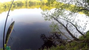 Джеркбейты . Недостатки . Джерк для новичков часть 2я