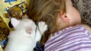 Девочка спит а котёнок мусолит её.mp4