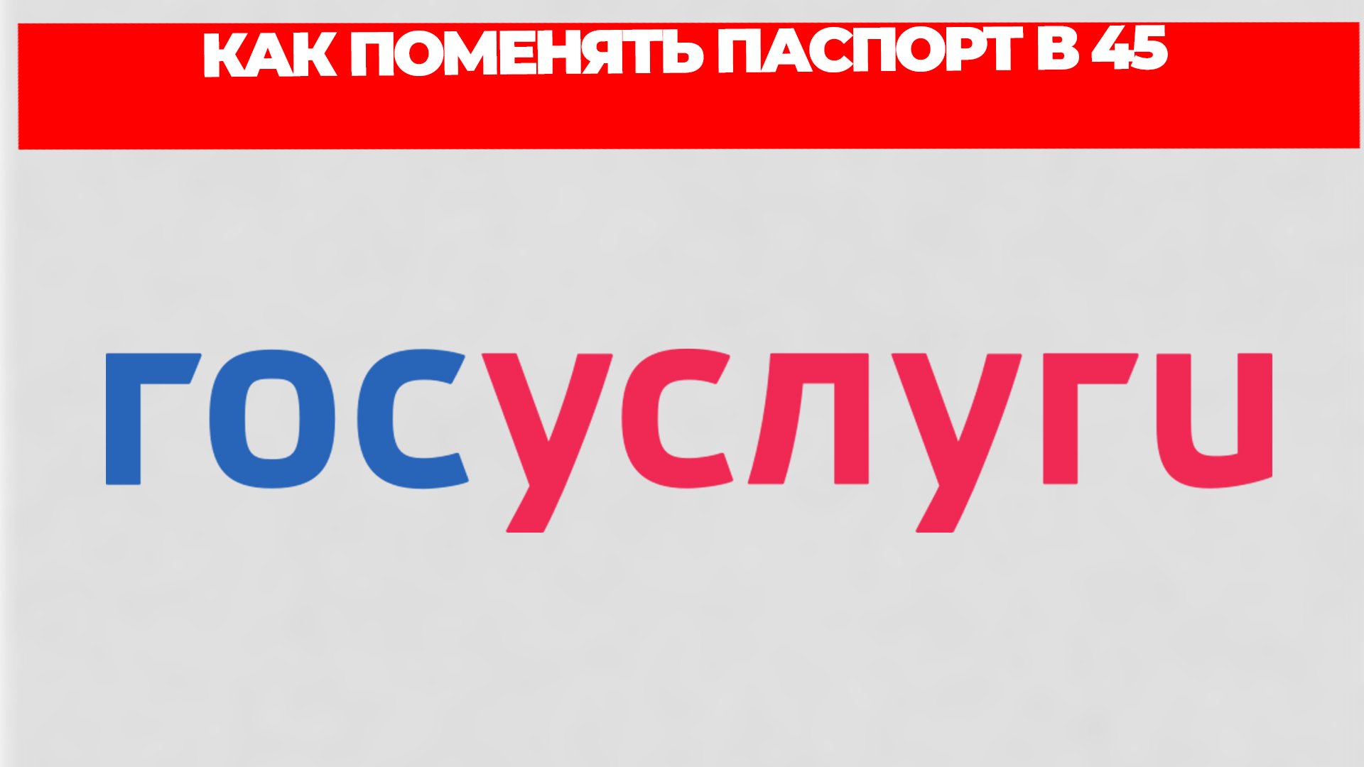 Всезнающий Енот