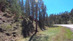 Путешествие по США на машине. Север Америки. Бизоны. Кругосветное путешествие.