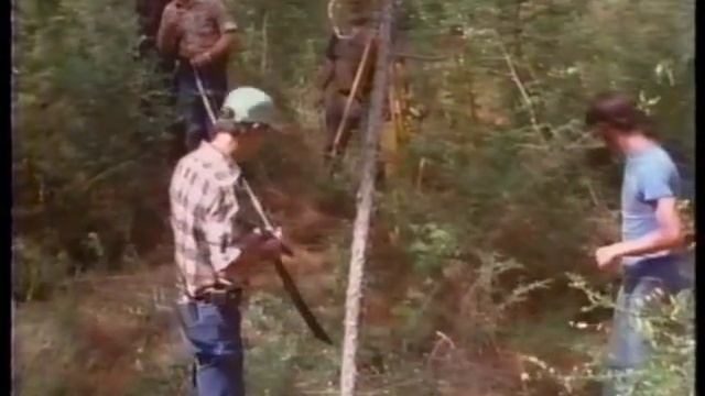 Surveying, Texas Style смотреть онлайн