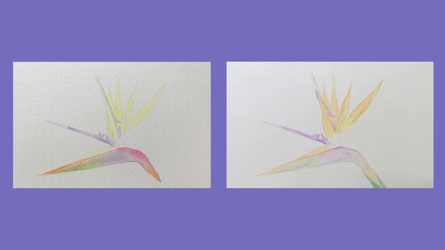 Watercolour pencil tutorial; Hints and tips смотреть онлайн