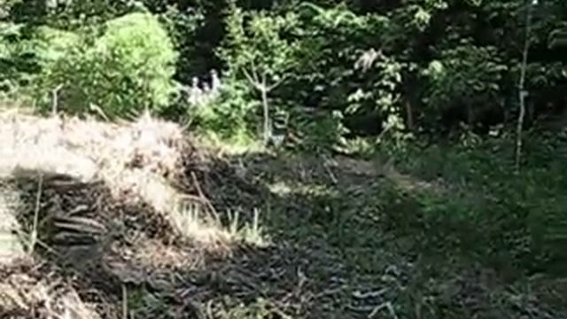 Mountain Bikers Syed Bakar смотреть онлайн