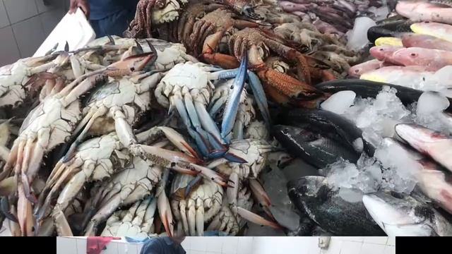 Ajman Fish Market, Ajman Port UAE