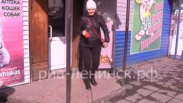 Делаем прививки домашним животным смотреть онлайн