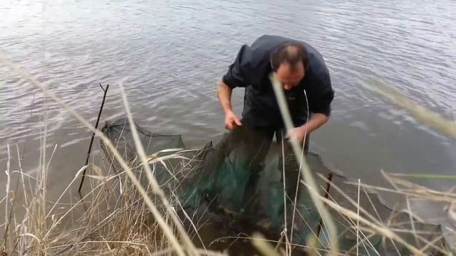 Ловля раков на раколовку. Приманка для раков из тухлой курицы. смотреть онлайн