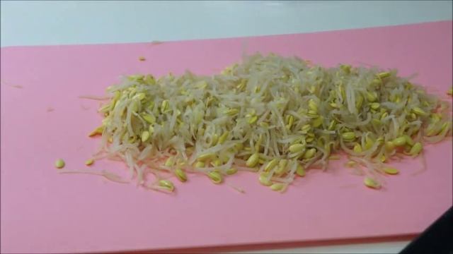 Корейские пельмени: рецепт по запросу смотреть онлайн