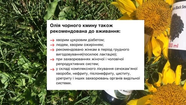 Олія Чорного Кмину: користь та застосування смотреть онлайн