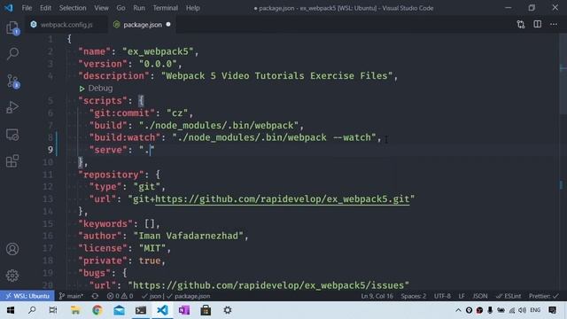 Webpack 5: Setup Webpack Dev Server смотреть онлайн