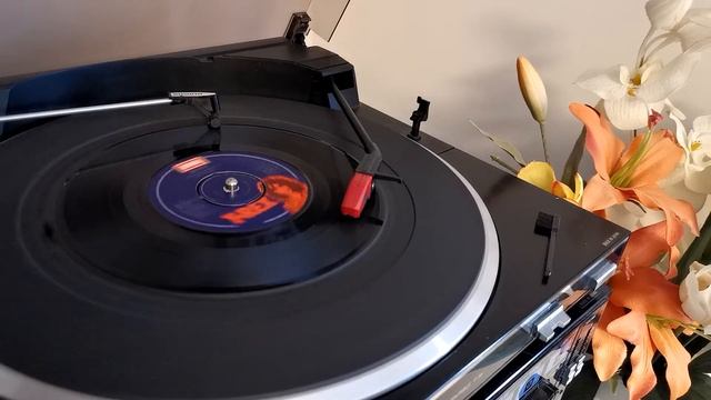 T-REX MIDNIGHT ON 7-INCH VINYL смотреть онлайн