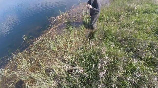 река Тузлов, рыбалка на щуку,Ростовская область,приманки от @_foR.Mula._ смотреть онлайн