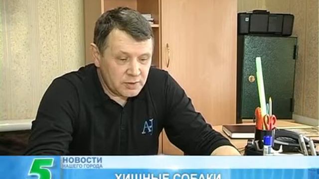 ОХОТНИК смотреть онлайн