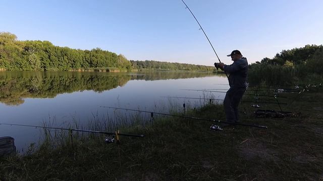 И СНОВА КАРПЫ МОНСТРЫ ВЫБИРАЮТ НАШ СУПЕР ГОРОХ! смотреть онлайн