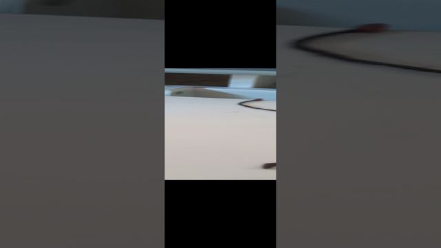 1000038404.mp4 смотреть онлайн