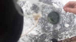 Кормушка-ловушка вариант использования. Симбиоз зимней малявочницы и китайской кормушки с сеткой.