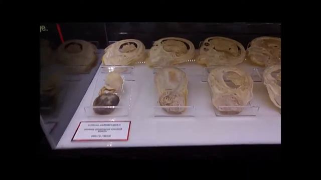 Ahaa Science Center ( Estonya Ahaa Bilim Merkezi ) 6 смотреть онлайн