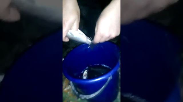Уха ч,1 первая серия смотреть онлайн