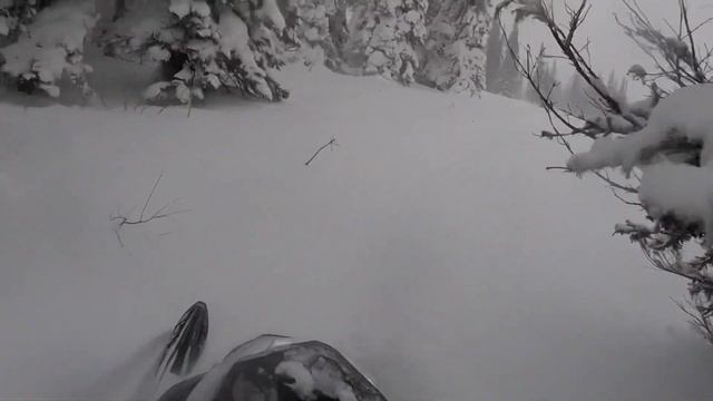 Приисковый ноябрь 22 2022 смотреть онлайн
