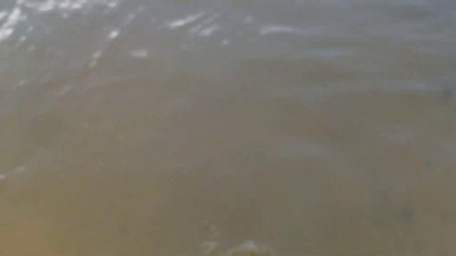 VloG: На речку уехали. Котику лучше. В магазин на закупку. Дима с Игорем, мы с Настей. 15.07.21