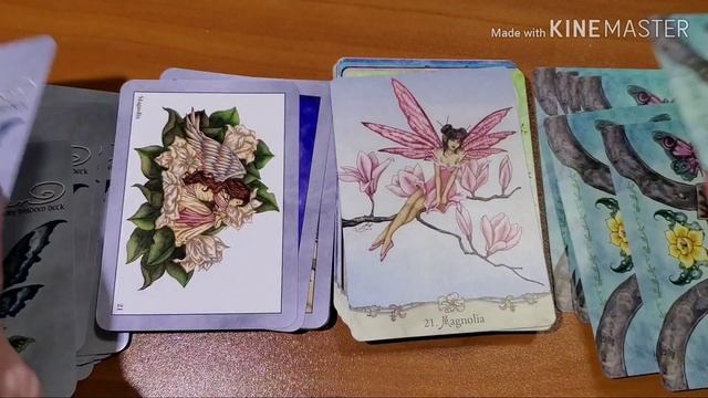 Side by side walkthrough: Fairy Wisdom Oracle VS Fairy Wisdom deck смотреть онлайн