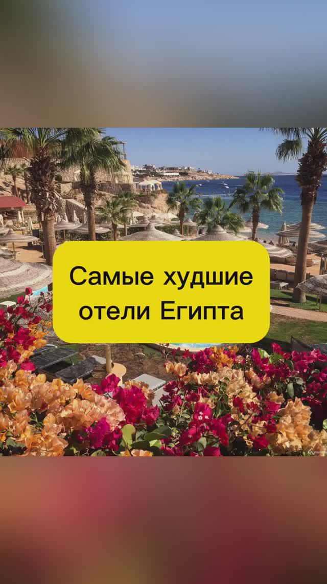 Самые худшие отели Египта смотреть онлайн
