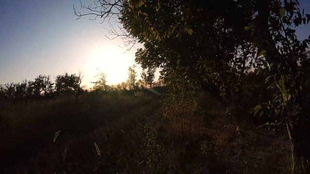 10 способов ЗАРАБОТАТЬ ДЕНЬГИ ЗИМОЙ! смотреть онлайн