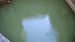 Succeed in English 1 Unit 5 video