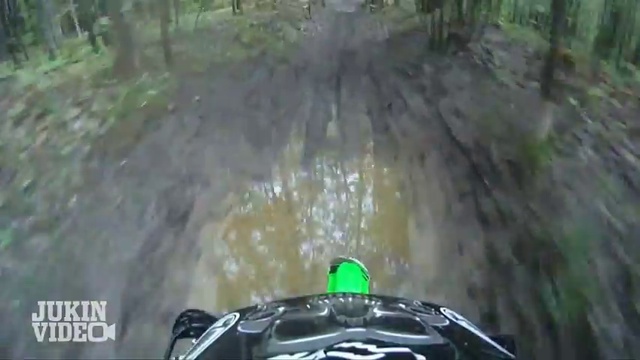 Влетел в дерево смотреть онлайн