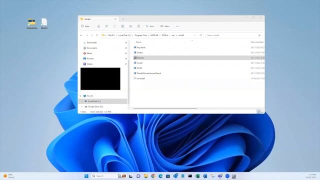 How to download the Network License Manager 11 смотреть онлайн