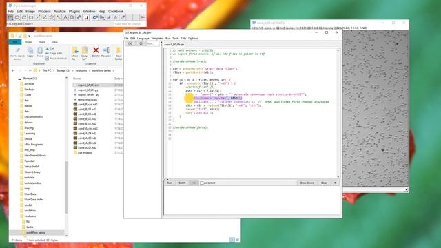 Fiji, ilastik, Cellprofiler - Workflow Series Part 1a смотреть онлайн