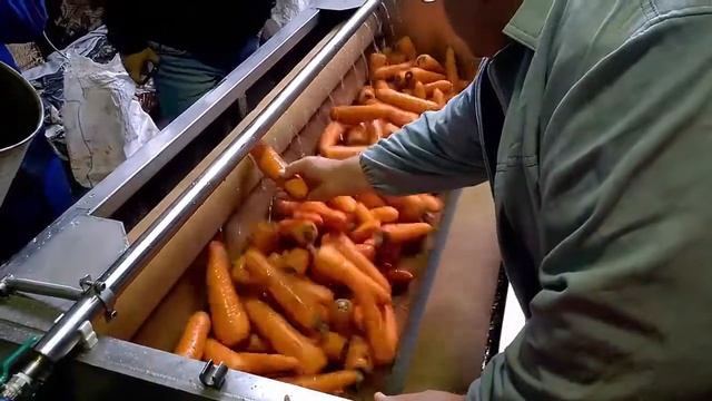 Машина для мойки и очистки овощей смотреть онлайн